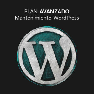 Plan avanzado de mantenimiento WordPress